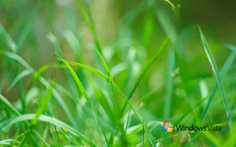 Daniele63's Artwork 2