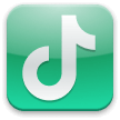 TikTok Logo